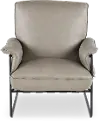 Arizona Thunder Taupe Accent Chair