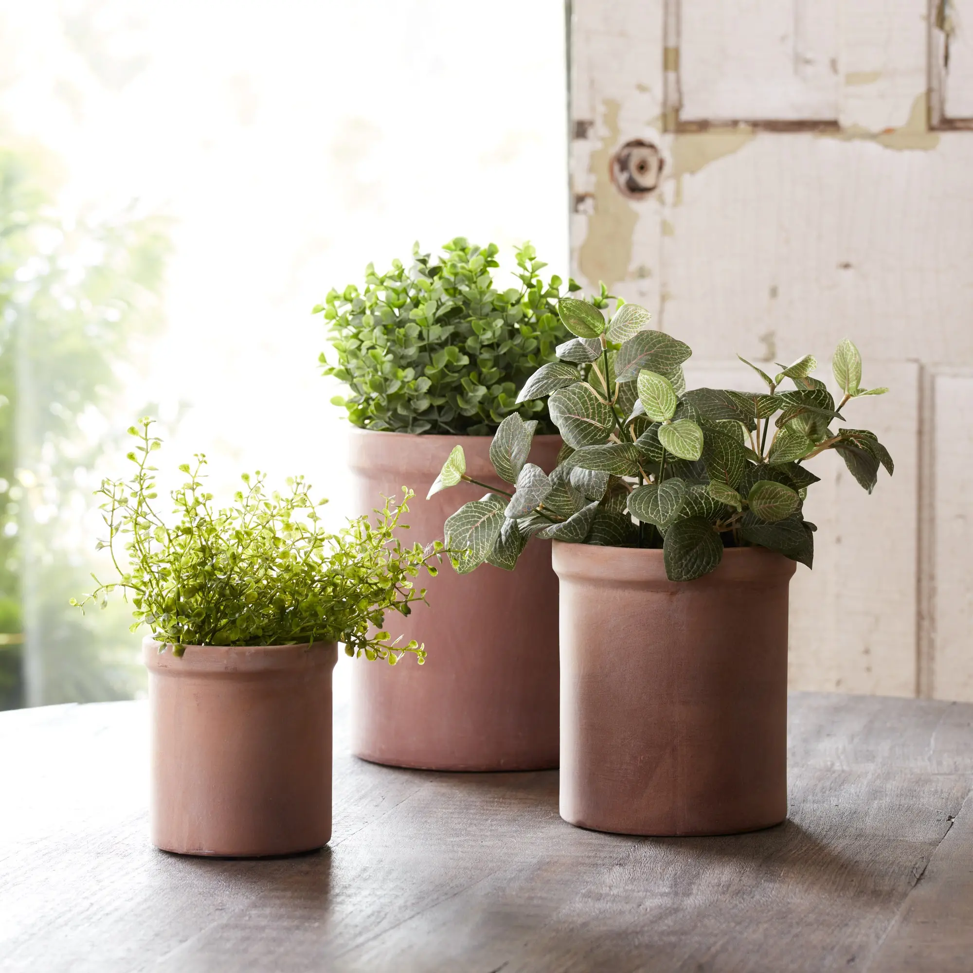 Medium 7 Terra Cotta Crock Planter-2