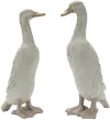 Assorted Standing Duck