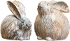 Assorted Sitting Rabbits