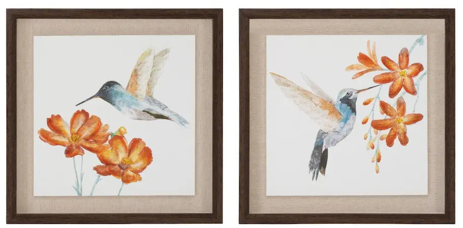 Assorted 12 Inch Hummingbird Print-1