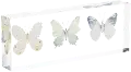 Acrylic Butterfly Block Decor