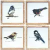 Assorted Wood Framed Bird Prints