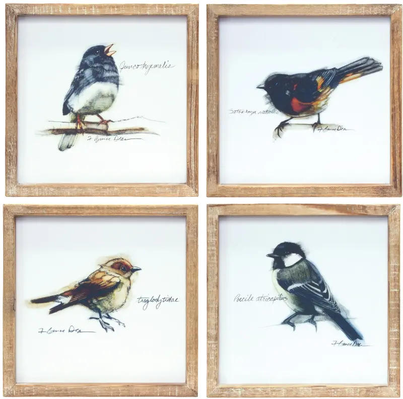 Assorted Wood Framed Bird Prints