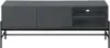 Florence Gray Two Door TV Stand