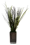 20  Grass and Willow Plant in Ceramic Pot