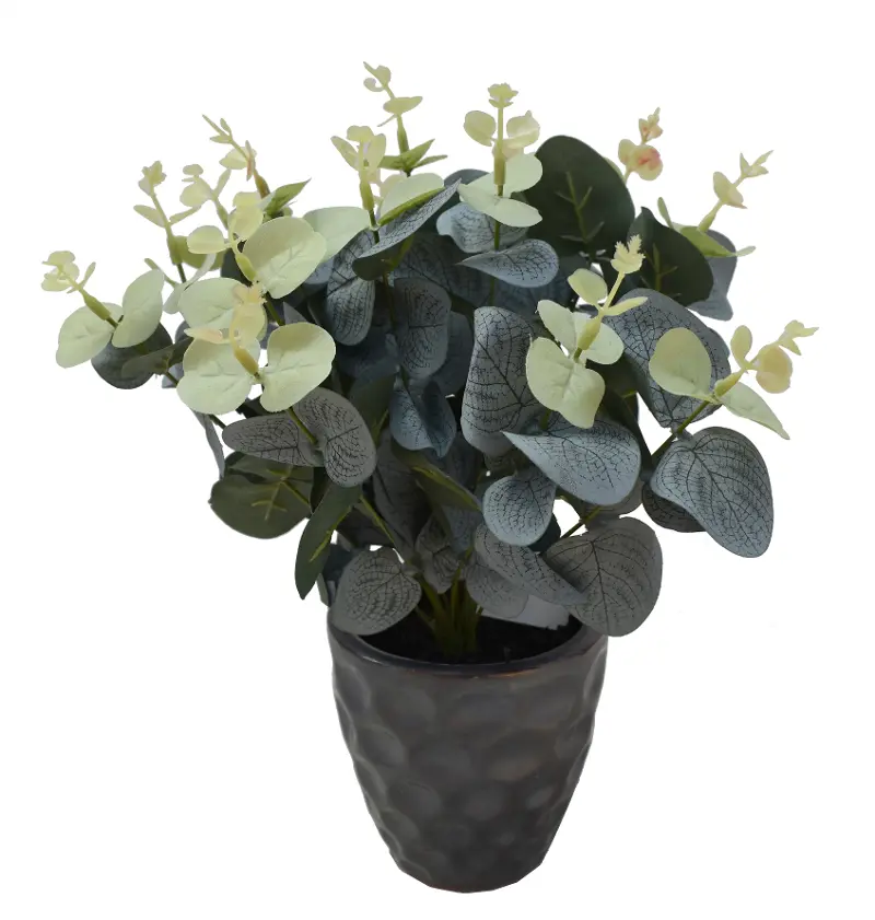 Eucalyptus in Hammered Ceramic Pot