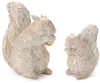Small 6  Squirrel
