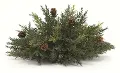 13 Inch Arborvitae Half Plastic Orb