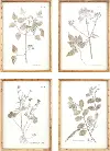 Assorted Floral Wood and Paper Print
