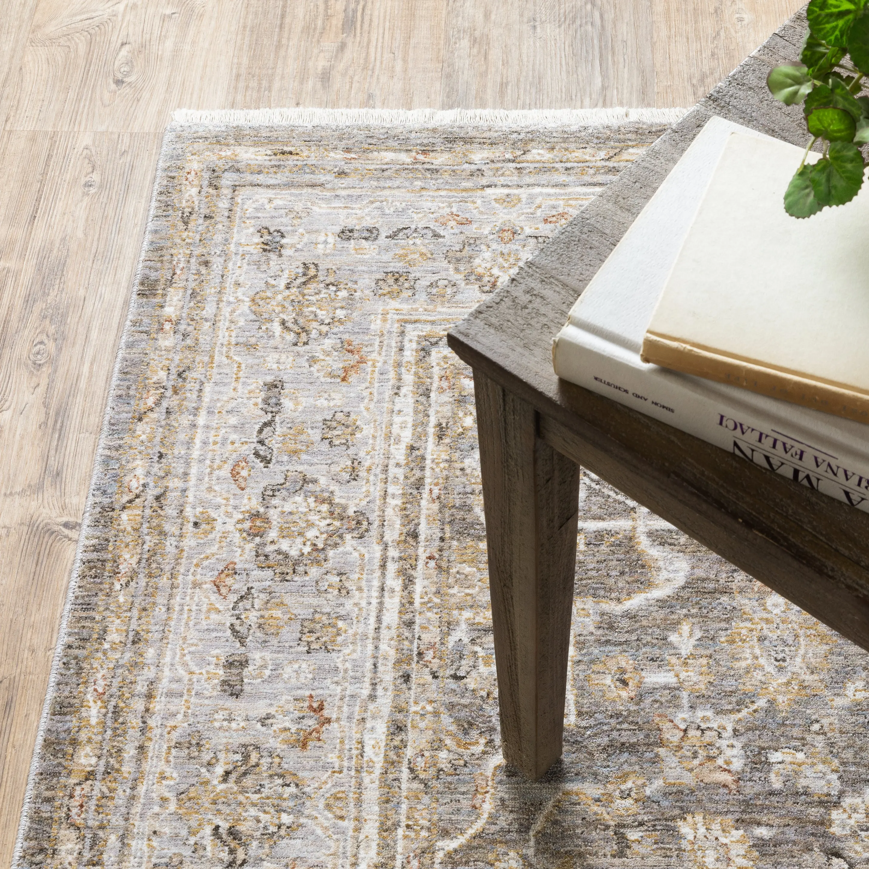 Maharaja 5 x 8 Gray and Gold Area Rug-3