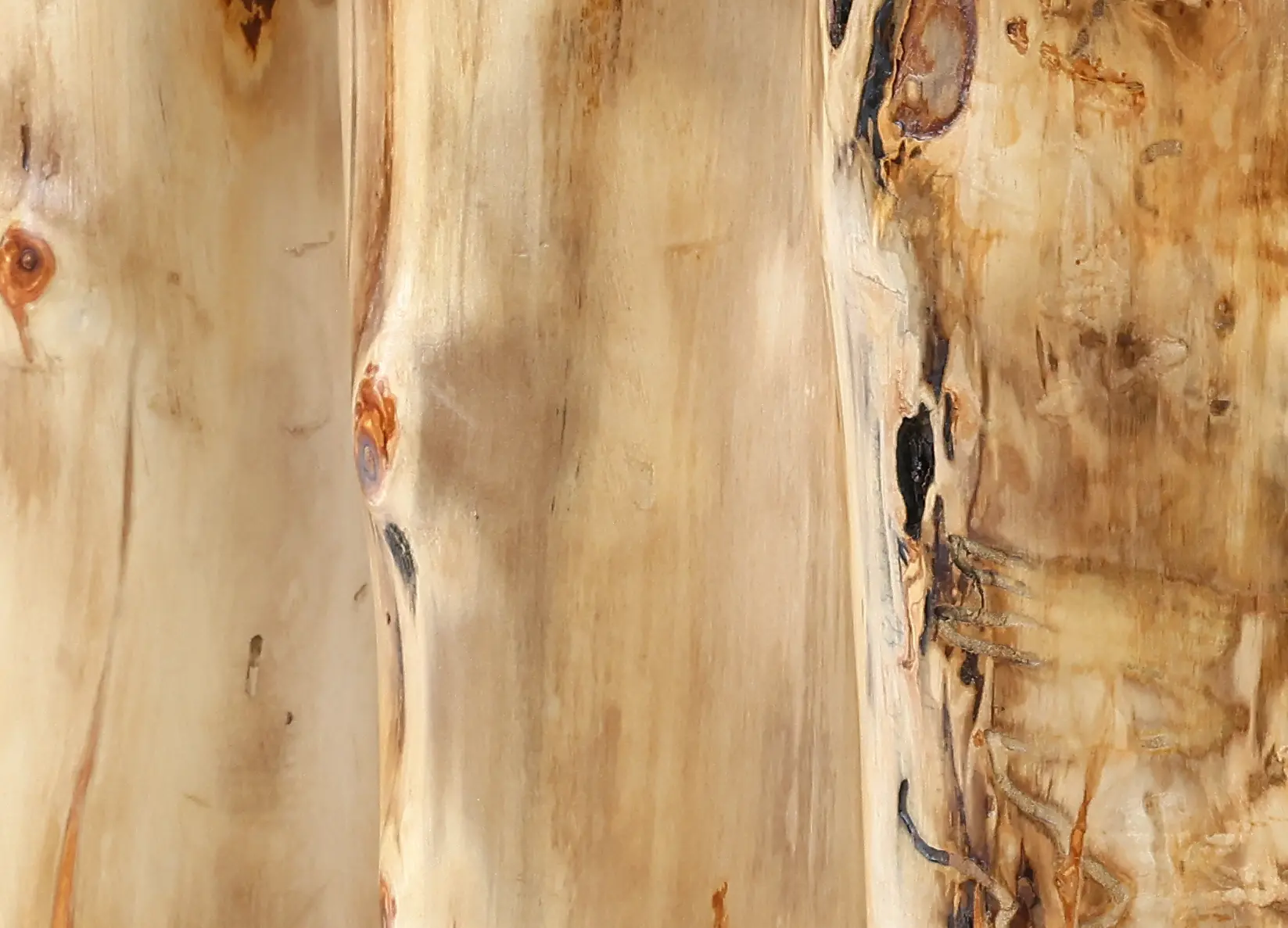 Aspen Natural Log King Bed-9