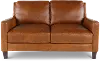 Leon Brown Leather Loveseat