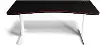 Arena Black and White Gaming Desk