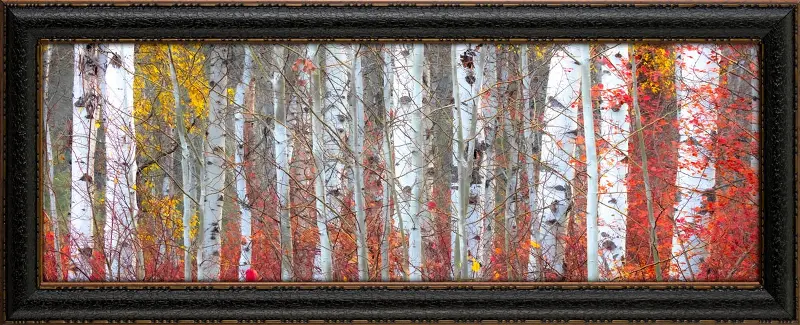 Autumnal Framed Canvas