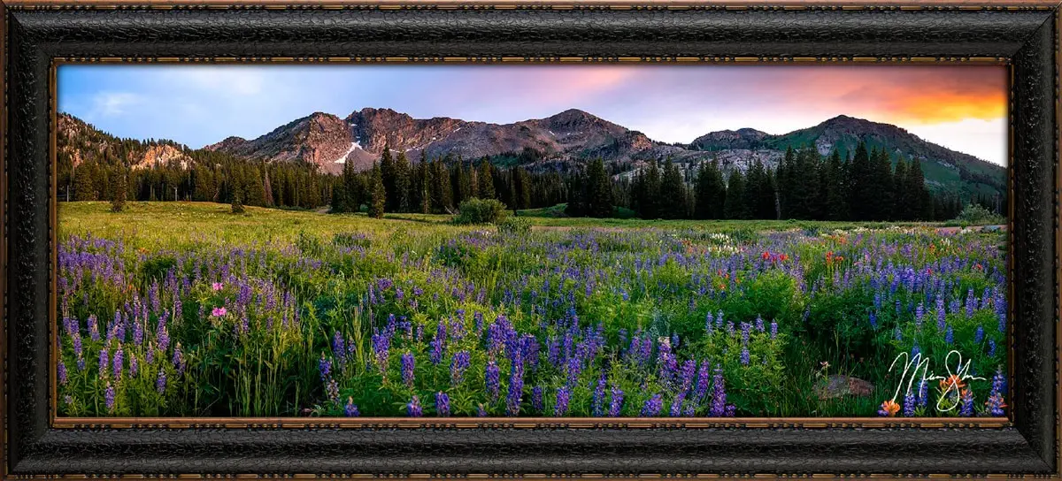 MS2023RC Albion Basin Sunset Framed Canvas-1
