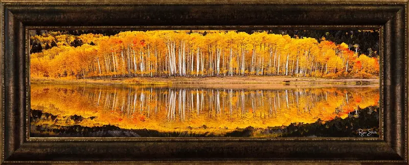 Clarity Framed Art