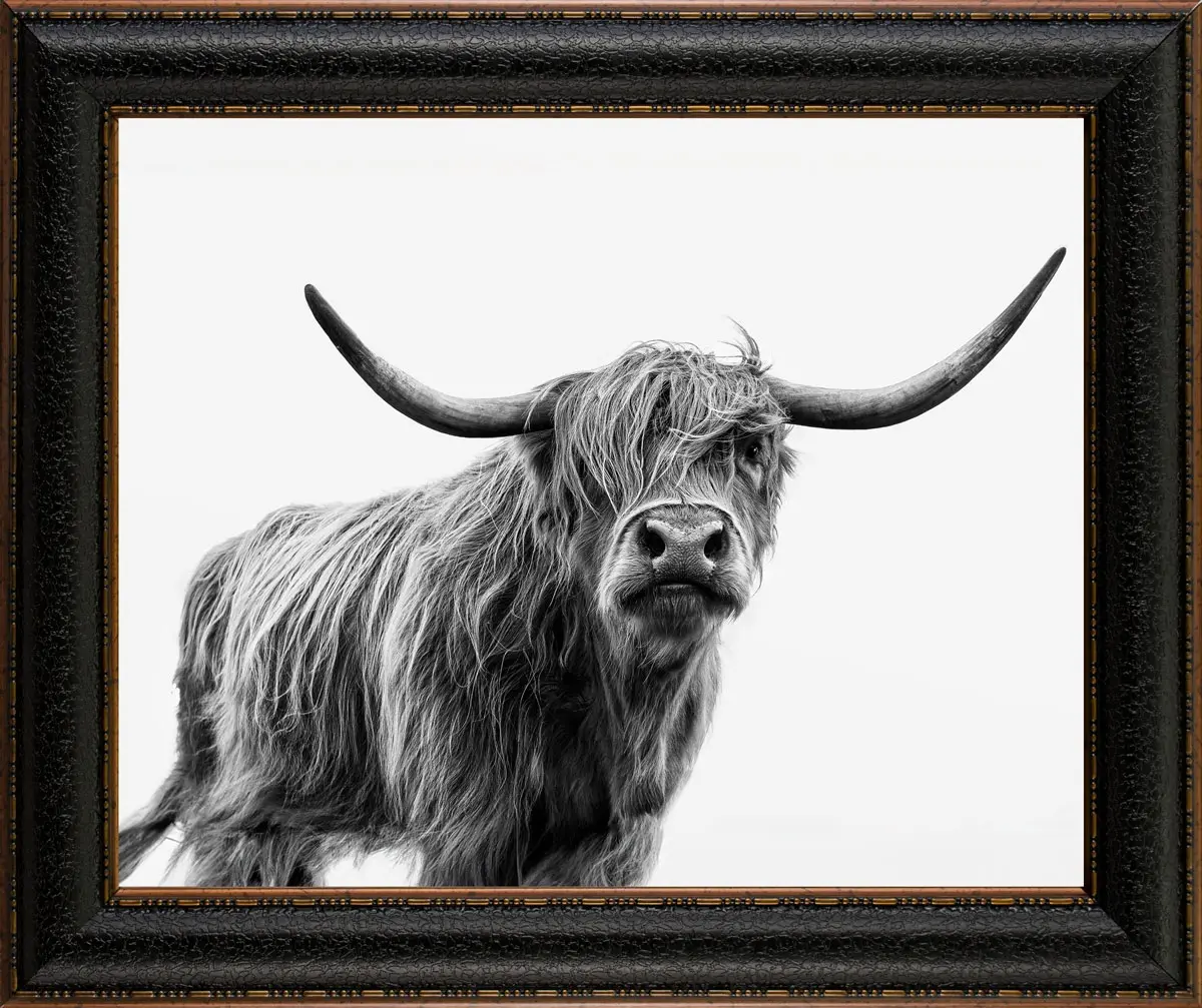 RMP2002RC Eye to Eye Framed Canvas-1