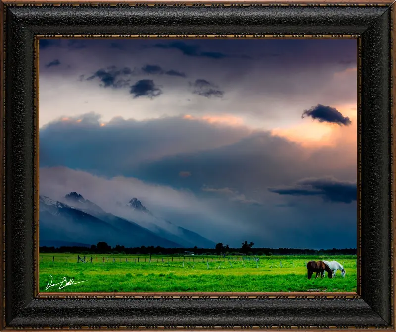 Solitude Framed Canvas