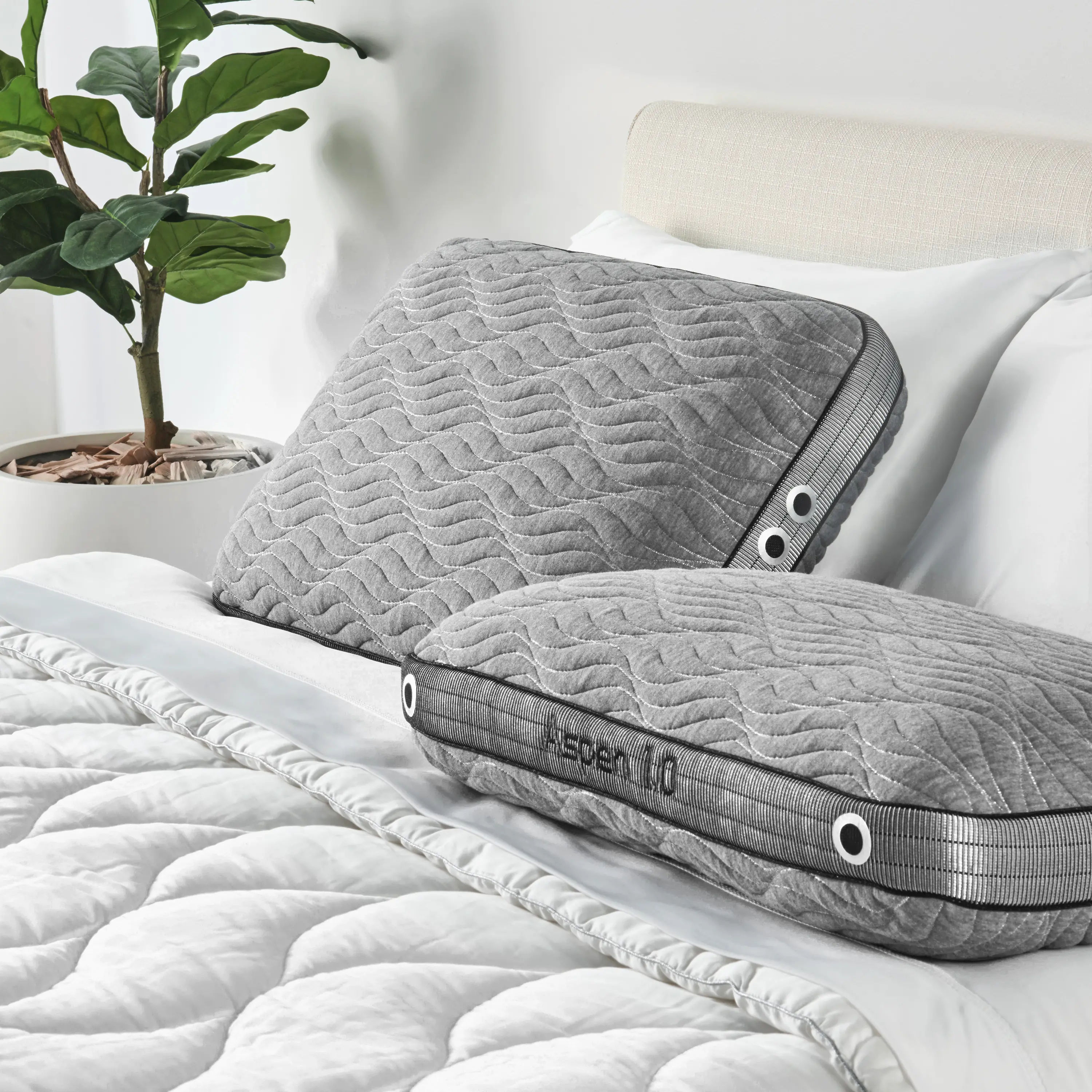 BGP03421K BedGear Aspen Performance® 1.0 King Pillow-4
