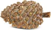 Hiver 4.5  Gilded Pinecone