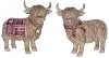 Assorted Highland Cow