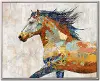 Dappled Horse Floating Canvas