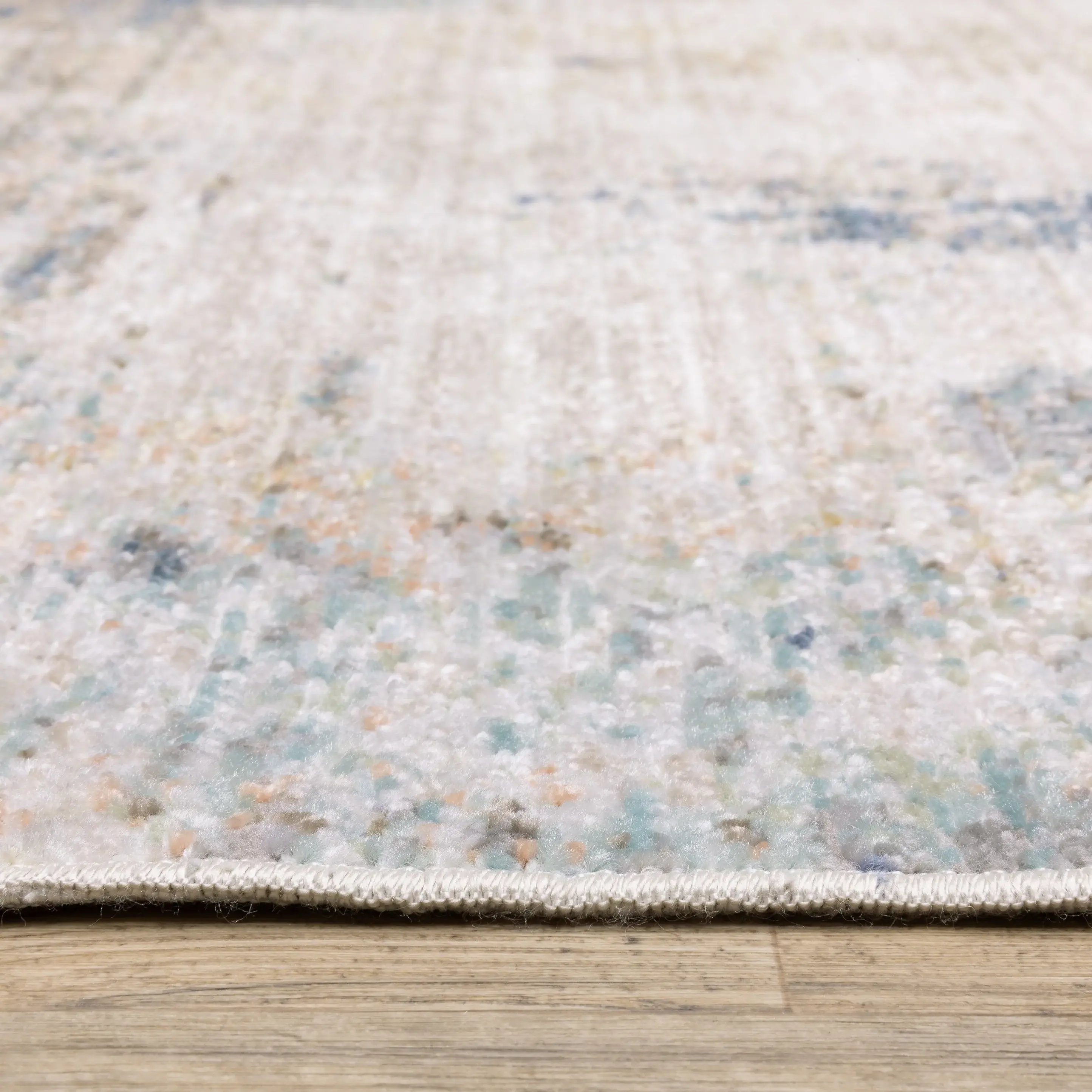 Cavett 8 x 10 Ivory and Blue Area Rug-4