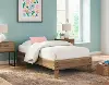 Pleasanton Twin Platform Bed