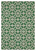 Havana 8 x 10 Green and Ivory Outdoor Area Rug
