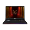 MSI Raider A18 HX A9WIG-082US 18 UHD+ Gaming Laptop - Core Black