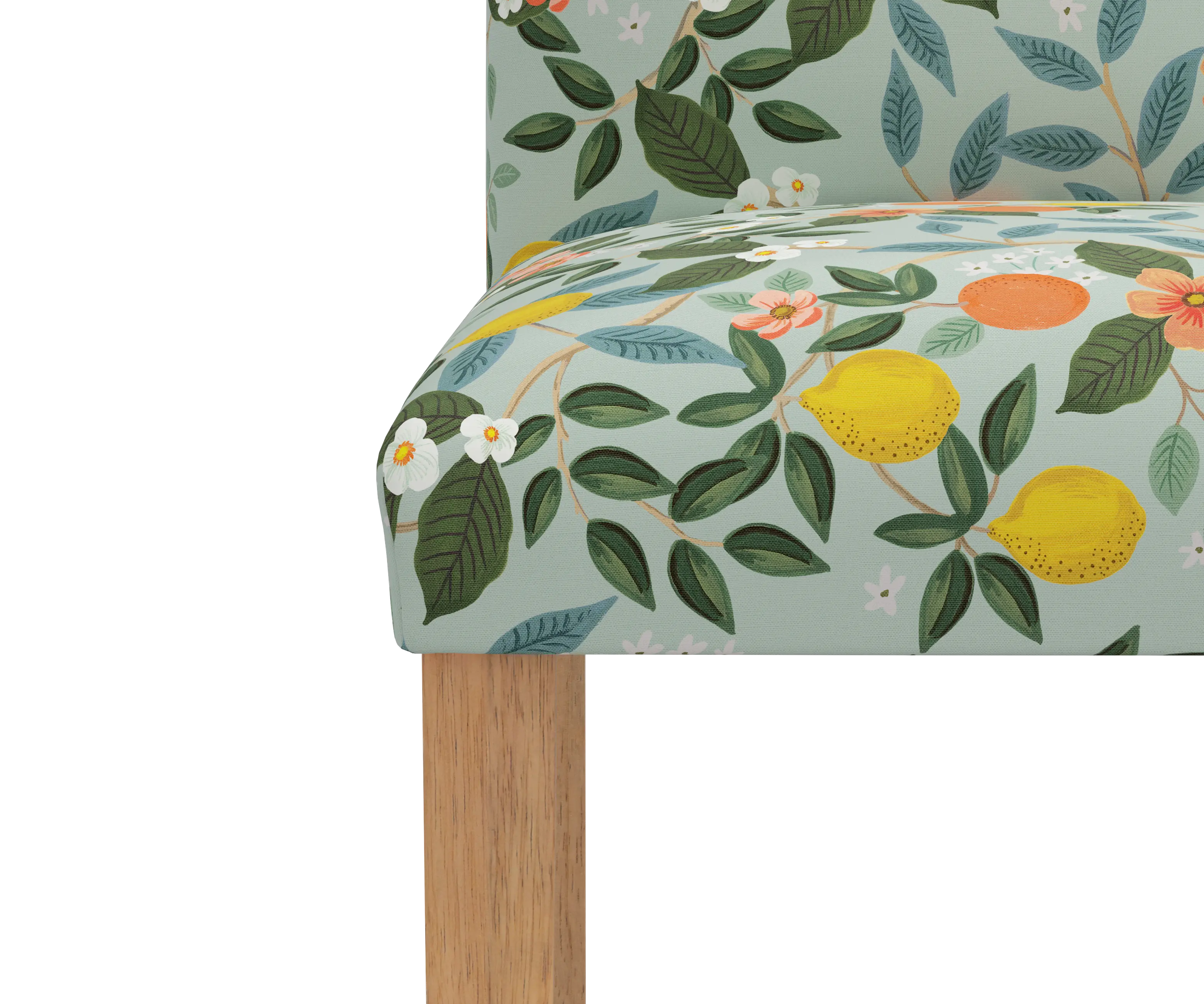 RPC63-6NATRPCCTGRMNLCB Rifle Paper Co Beth Citrus Grove Mint Dining Chair-5