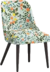 RPC84-6RPCCTGRMNLCB Rifle Paper Co Tara Citrus Grove Mint Dining Chair