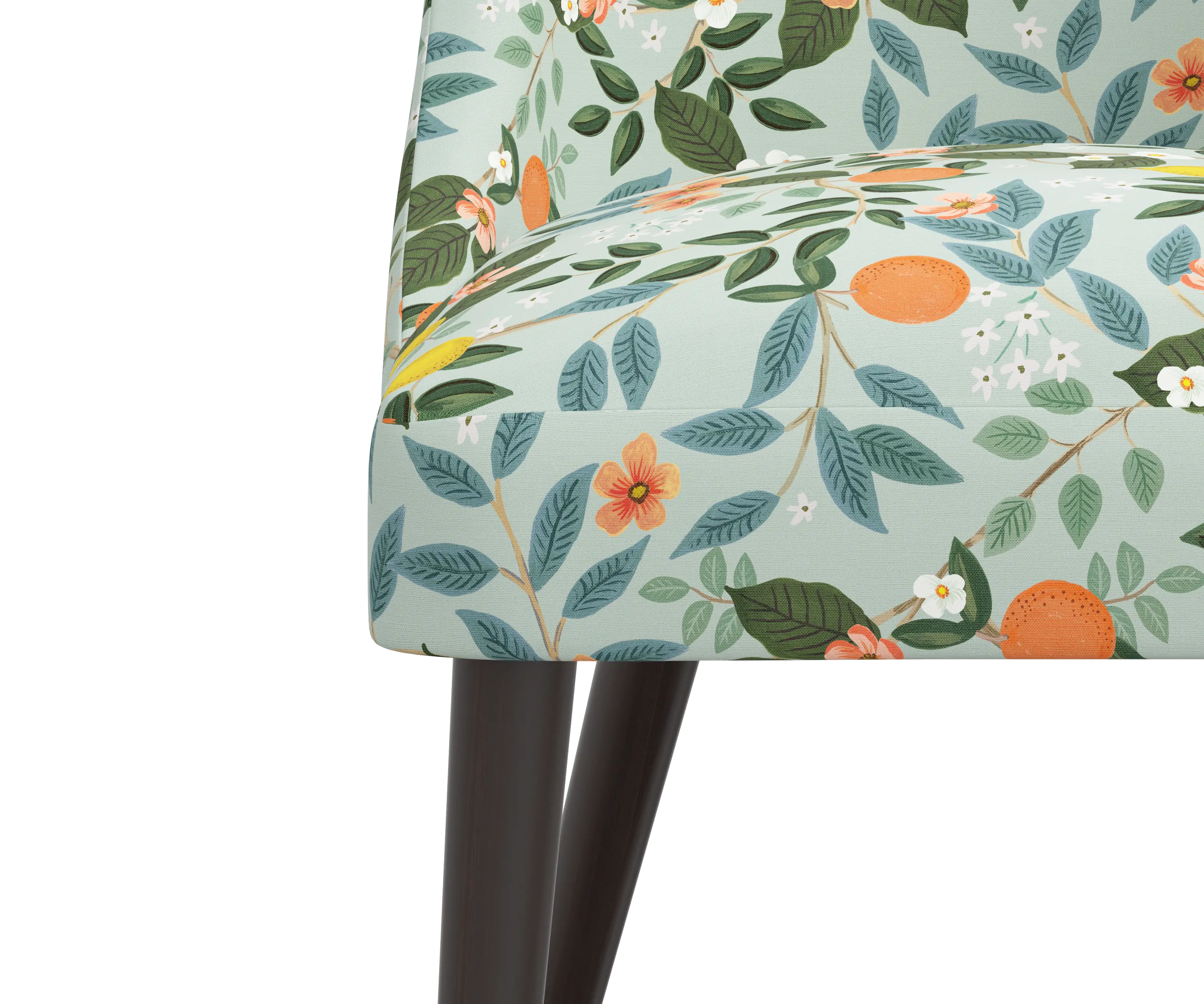 RPC84-6RPCCTGRMNLCB Rifle Paper Co Tara Citrus Grove Mint Dining Chair-5