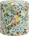 RPC90-2RPCCTGRMNLCB Rifle Paper Co Billie Citrus Grove Mint Round Ottoman