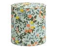 RPC90-2RPCCTGRMNLCB Rifle Paper Co Billie Citrus Grove Mint Round Ottoman