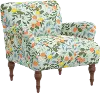 RPC9305RPCCTGRMNLCB Rifle Paper Co Elodie Citrus Grove Mint Accent Chair