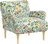 RPC9405NATRPCCTGRMNLCB Rifle Paper Co Bristol Citrus Grove Mint Accent Chair