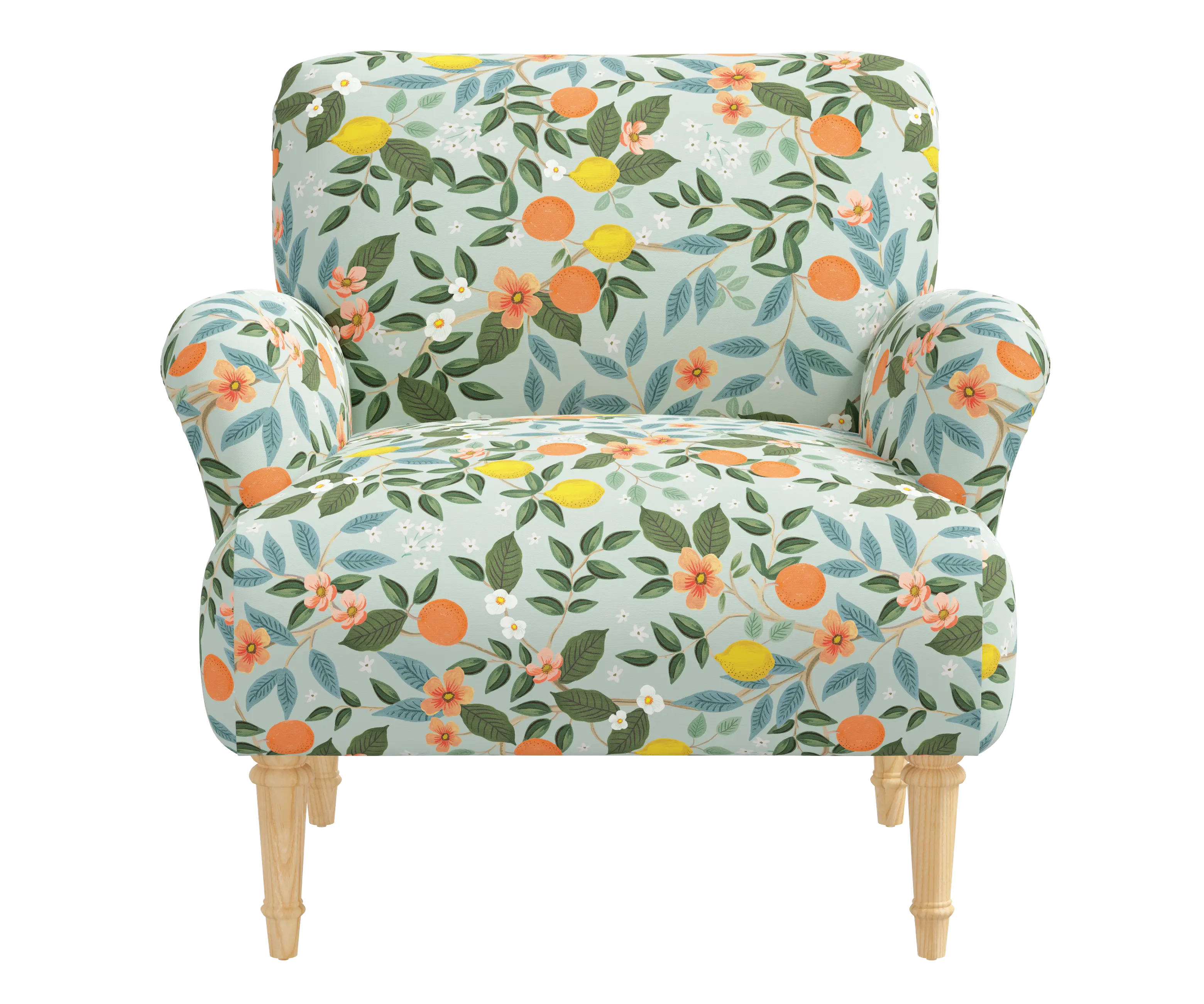 RPC9405NATRPCCTGRMNLCB Rifle Paper Co Bristol Citrus Grove Mint Accent Chair-1