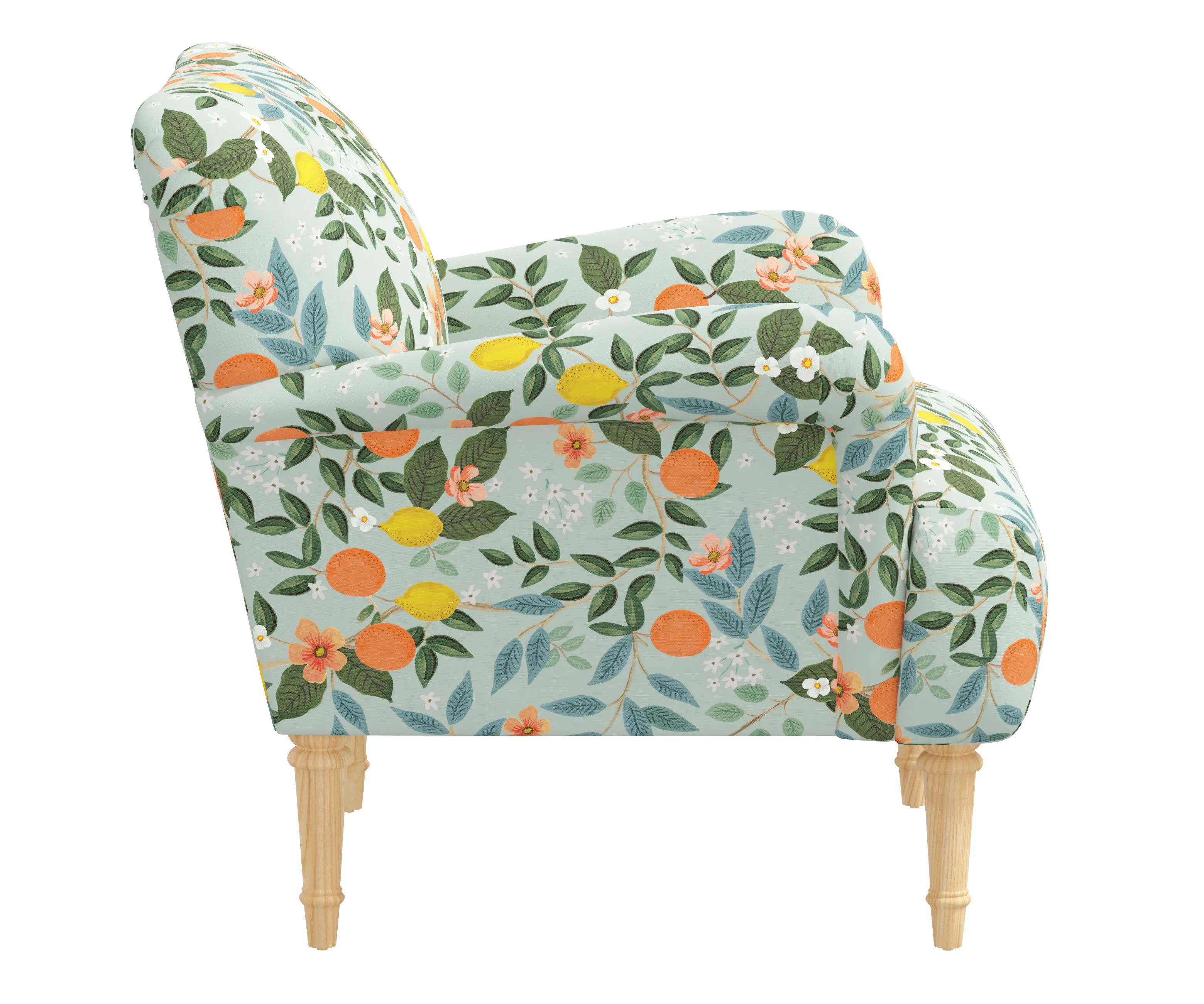 RPC9405NATRPCCTGRMNLCB Rifle Paper Co Bristol Citrus Grove Mint Accent Chair-3