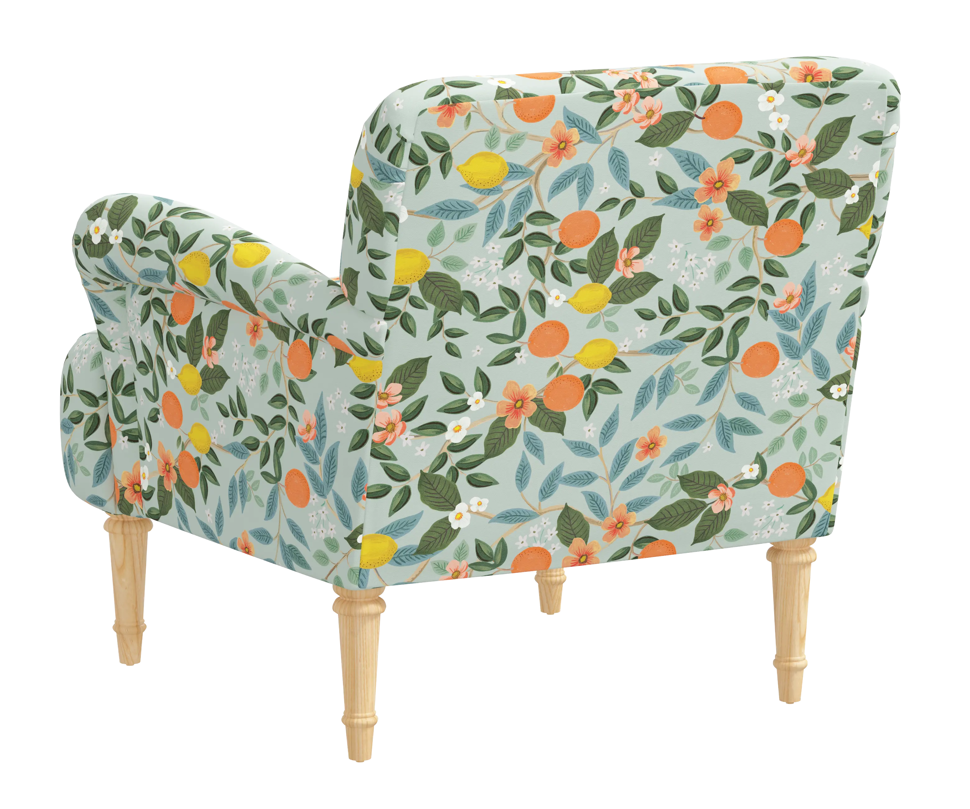 RPC9405NATRPCCTGRMNLCB Rifle Paper Co Bristol Citrus Grove Mint Accent Chair-4