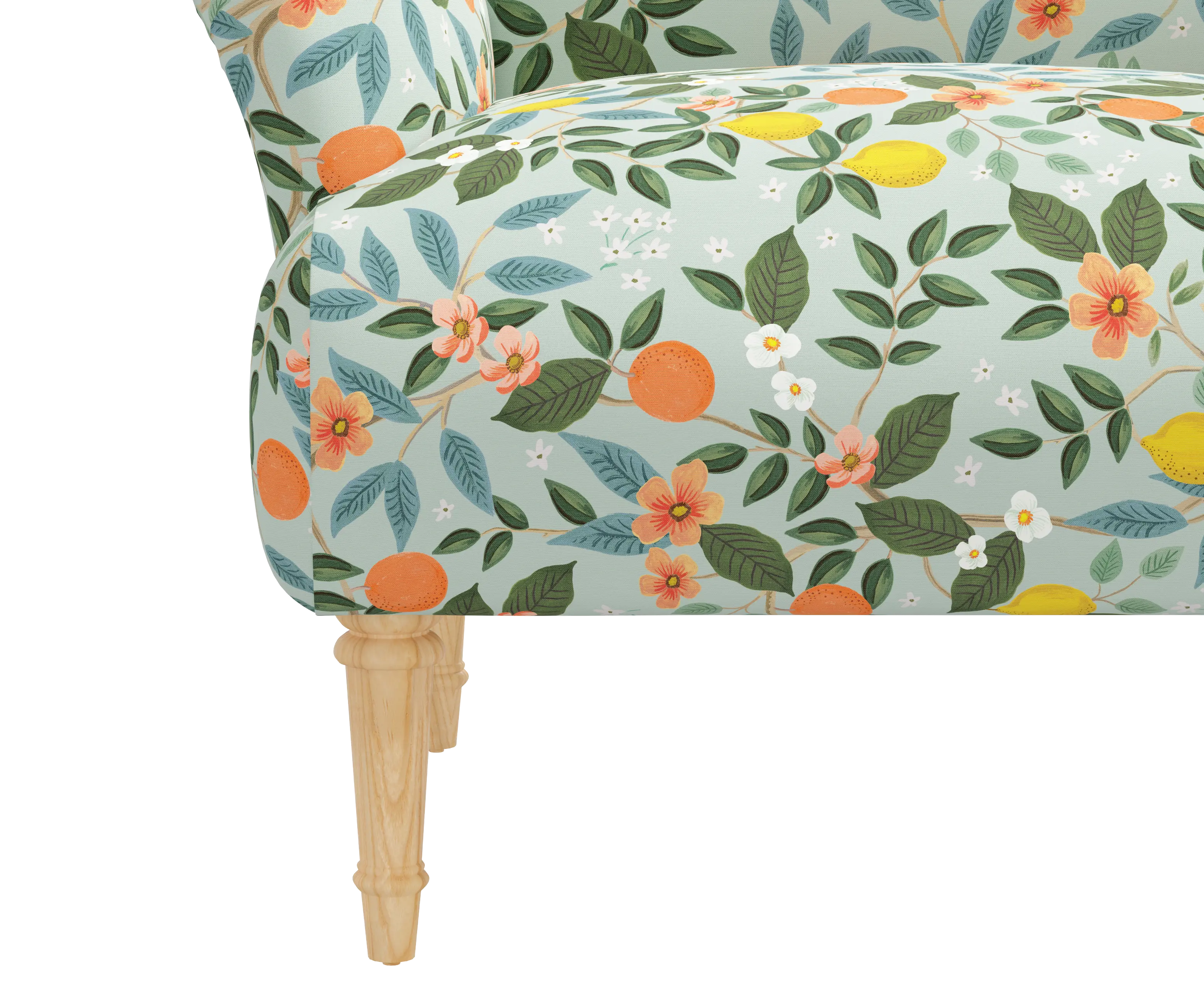 RPC9405NATRPCCTGRMNLCB Rifle Paper Co Bristol Citrus Grove Mint Accent Chair-5