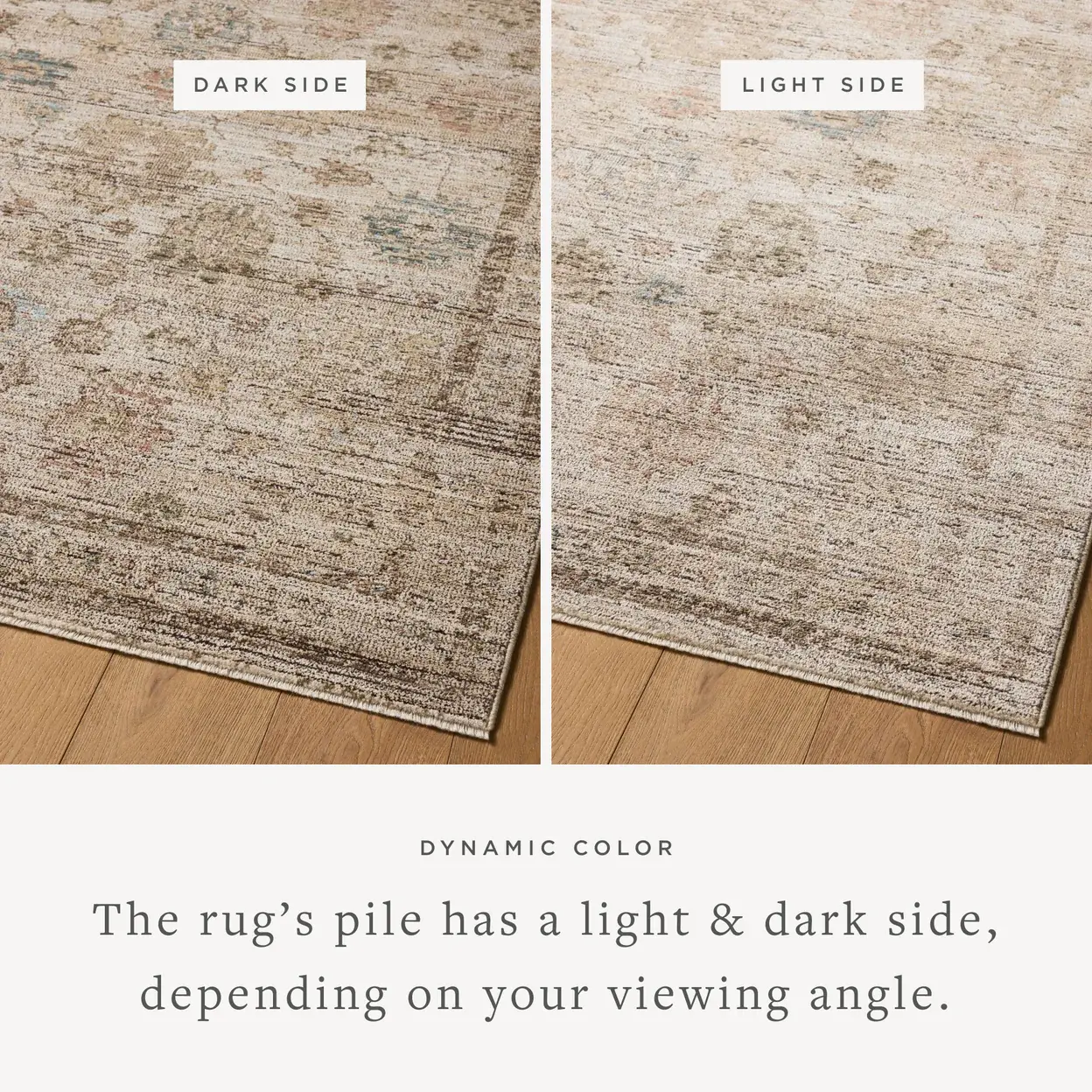 PRL06IVORYMULTI5X7.6 Priscilla 5 x 8 Ivory and Multicolor Area Rug-8