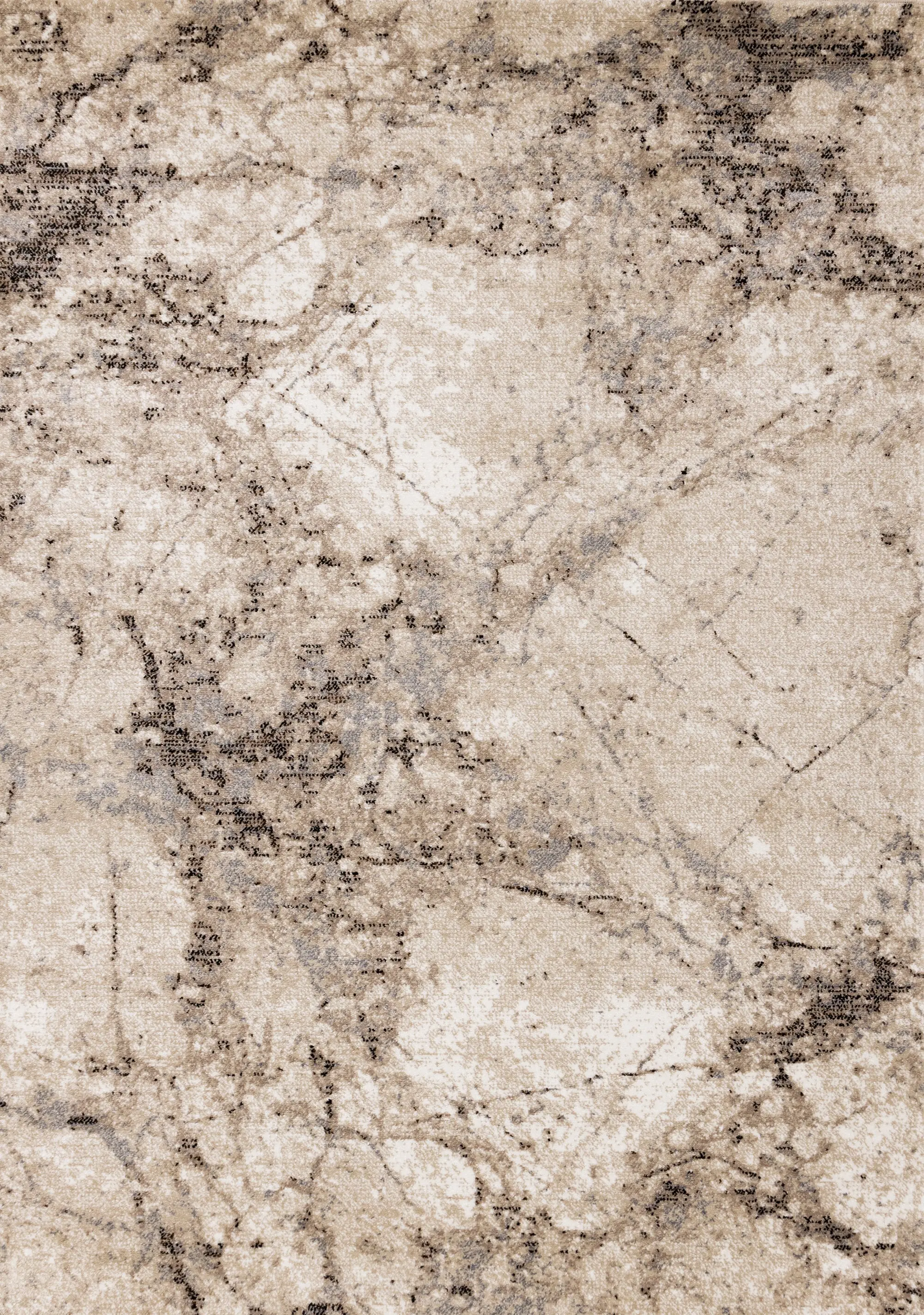 Century 5 x 8 Marbled Beige Area Rug-1