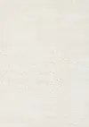 Pascal White 5 x 8 Shag Area Rug