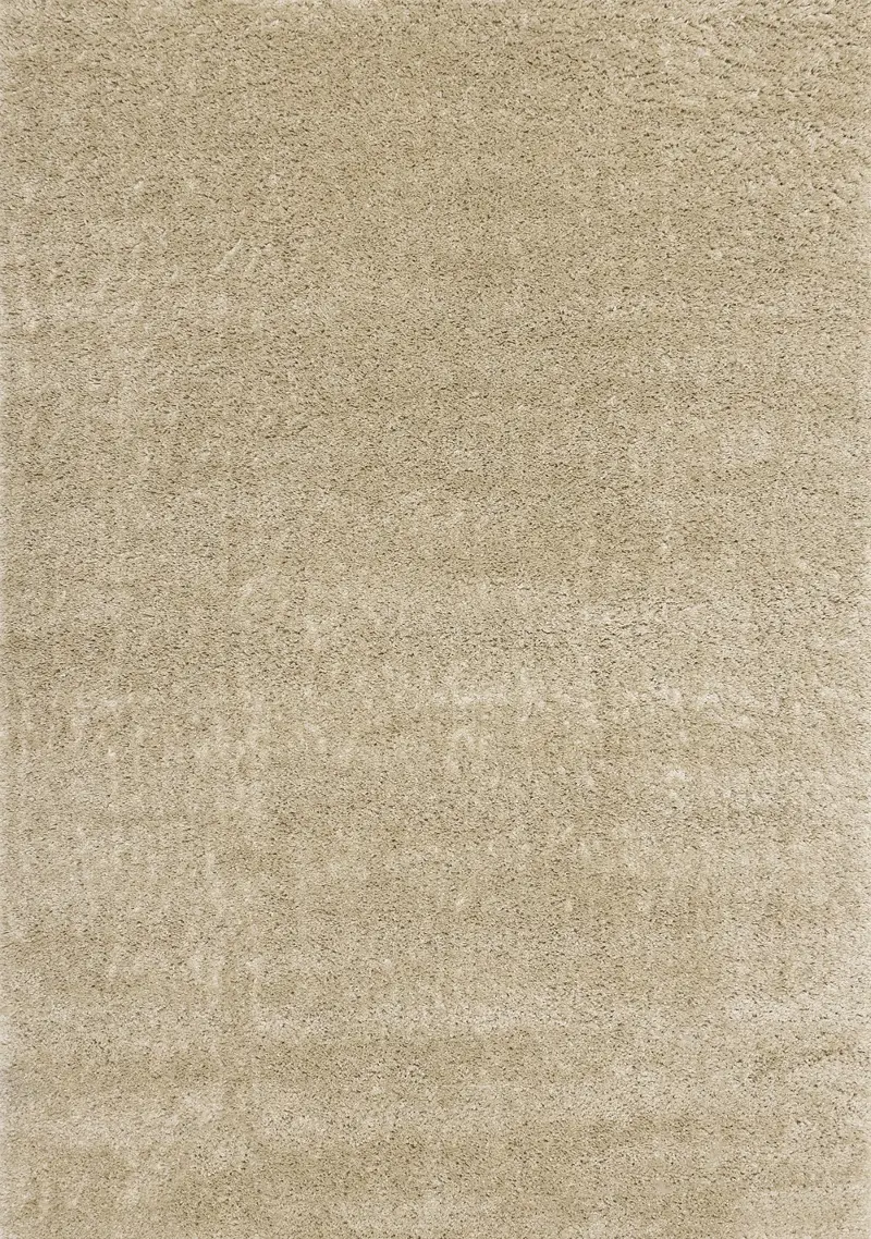 Pascal Beige 7 x 10 Shag Area Rug
