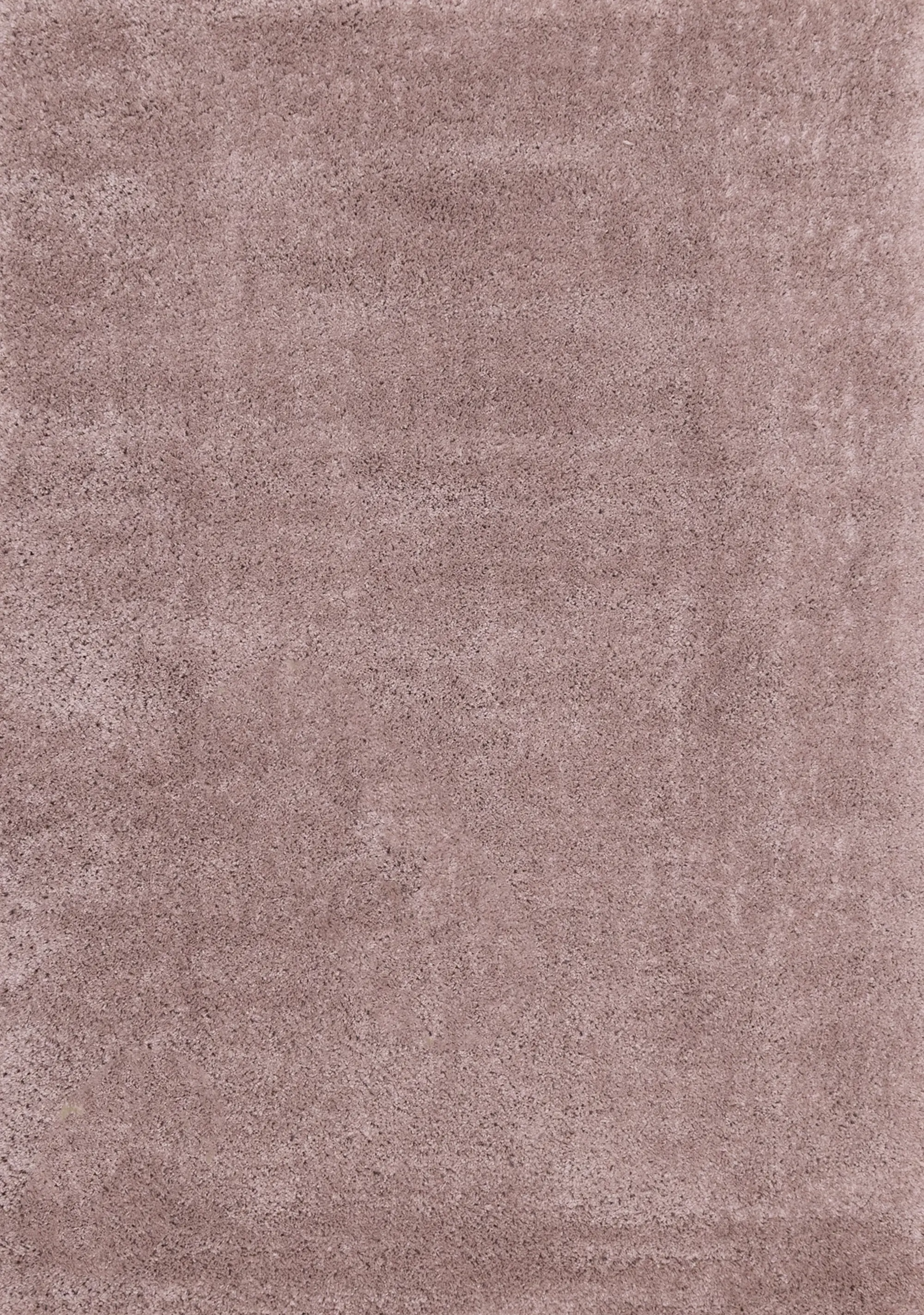 Pascal Blush Pink 5 x 8 Shag Area Rug-1