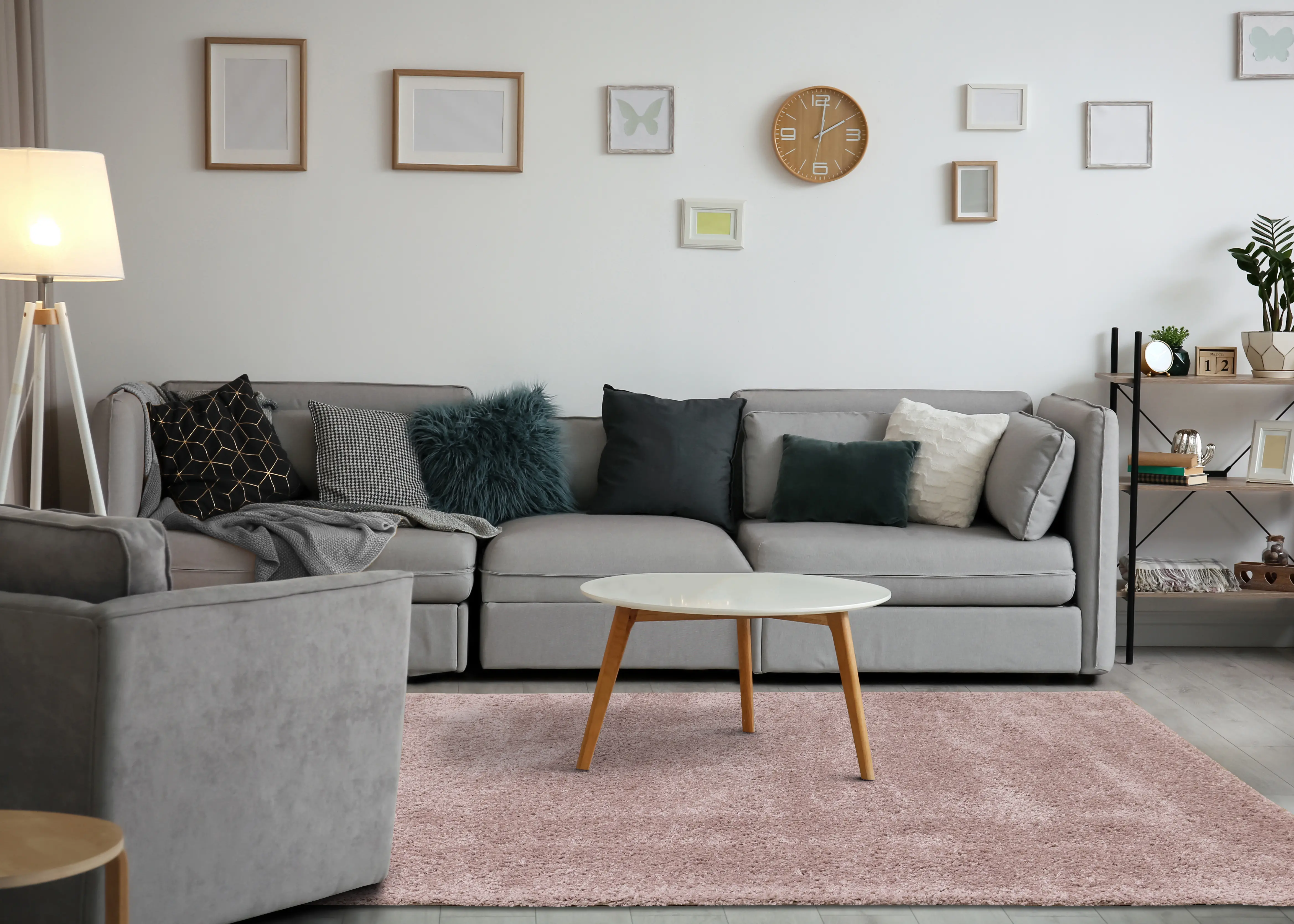 Pascal Blush Pink 7 x 10 Shag Area Rug-3