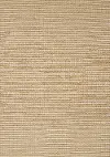 Naturals Beige Intricate Weave 5 x 8 Jute Rug