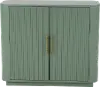 Julia Aqua Green 2-Door Cabinet